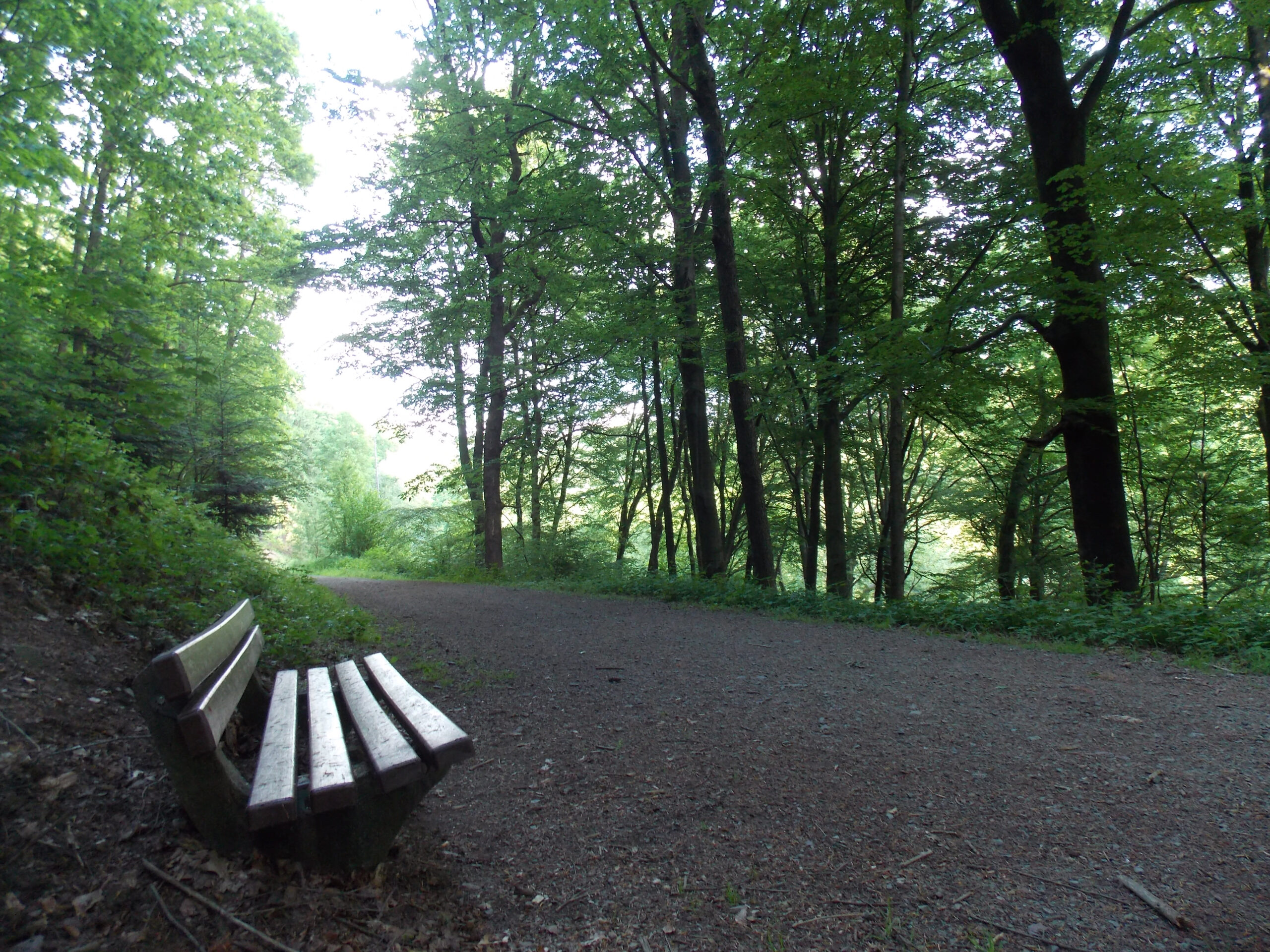 Bestattungen Böhmer Wuppertal